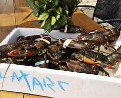 L'Aixart Aiguablava Hotel