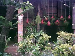 Caribbean Coral Inn Tela