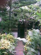 Caribbean Coral Inn Tela