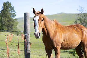 Eden Valley Guest Ranch