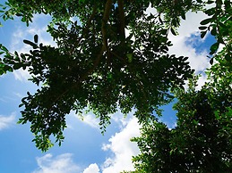 Ishigaki Sun Green Resort Hotel