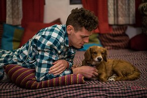 Madpackers Delhi - Hostel