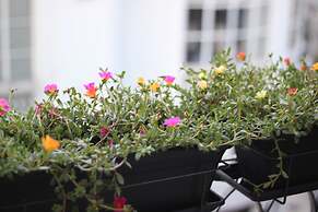 B The Guest Downtown