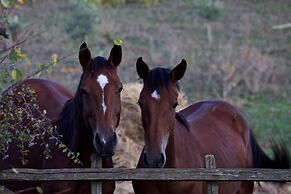 Agriturismo Le Chiuse