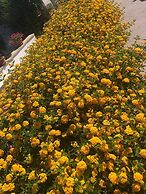 Agriturismo Vivinatura