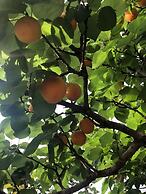 Agriturismo Vivinatura