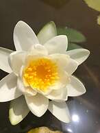 Agriturismo Vivinatura