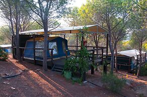 Amfibietreks Camping