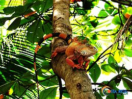 Hotel Claudio & Gloria Beach Front