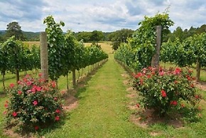 Woodville Bed and Breakfast