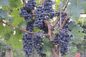 Woodville Bed and Breakfast