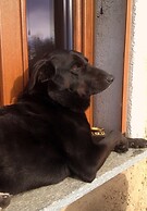 Ca' de l'Ase B&B