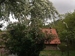 Ca' de l'Ase B&B