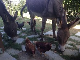Ca' de l'Ase B&B