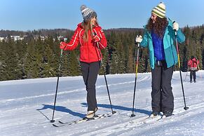 Buntes Haus Seiffen - Hotel Erbgericht