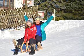Buntes Haus Seiffen - Hotel Erbgericht