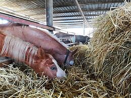 Agriturismo Fontana la Pietra
