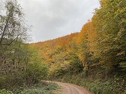 Sarikonaklar Garden Village