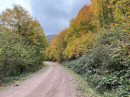 Sarikonaklar Garden Village