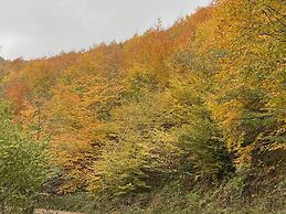 Sarikonaklar Garden Village