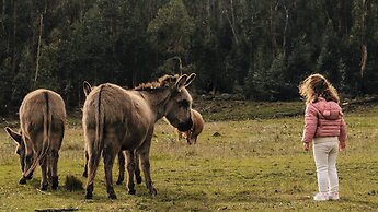 Hostería de la Cascada
