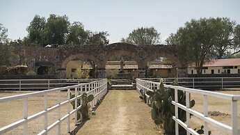 Meson Real de la Plata