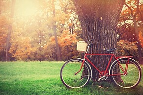 Meson Real de la Plata