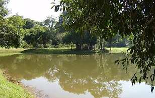 Hotel Fazenda Reviver