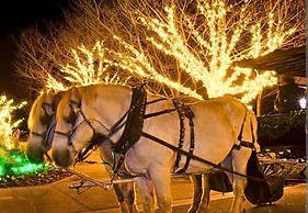 Nacoochee Valley Lodge