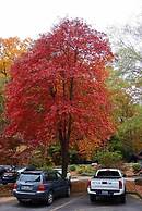 Nacoochee Valley Lodge