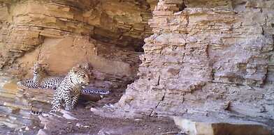 Tsauchab River Lodge