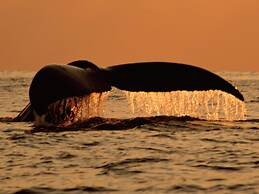 ZOE RESORT THE Sunset Village OKINAWA CHATAN