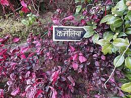 8fold-Pinecrest By LaRiSa, Bhimtal