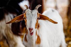 Agriturismo Archelao