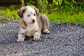 Agriturismo Archelao