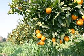 Agriturismo Archelao