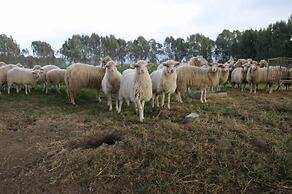 Agriturismo Archelao