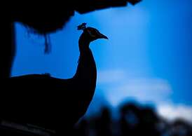 Agriturismo Archelao