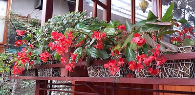 Dang Khoa Garden Inn