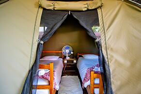 Shoestrings Backpackers & Bar