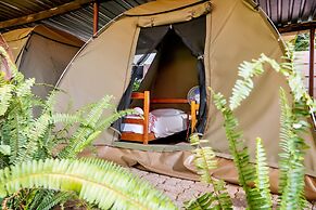 Shoestrings Backpackers & Bar