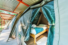 Shoestrings Backpackers & Bar