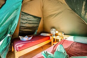 Shoestrings Backpackers & Bar