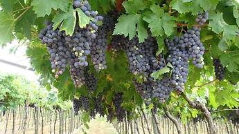 Agriturismo Corteforte