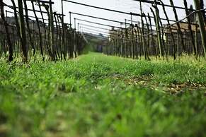 Agriturismo Corteforte