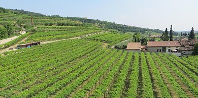 Agriturismo Corteforte