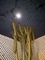 l'Oum Errabia Azemmour