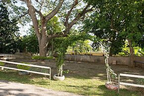 Modern Bilton Apartment