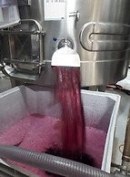 Casa de Huespedes Gimenez Riili