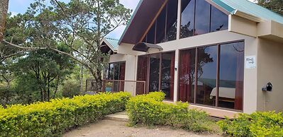 Green Forest Vacations Homes